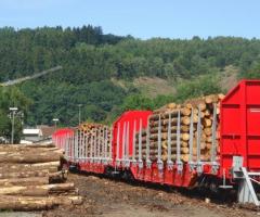 24 Roos -t wood transport railcars for saler